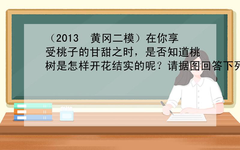 （2013•黄冈二模）在你享受桃子的甘甜之时，是否知道桃树是怎样开花结实的呢？请据图回答下列问题．