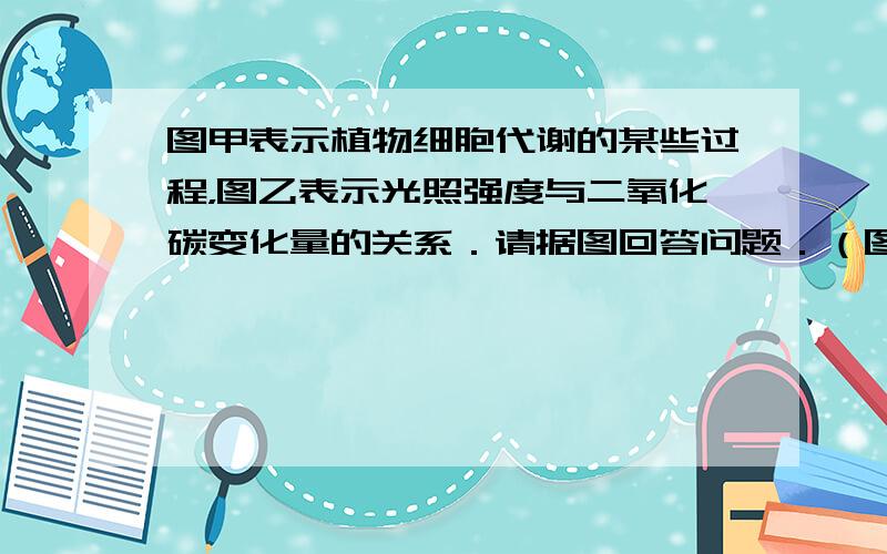 图甲表示植物细胞代谢的某些过程，图乙表示光照强度与二氧化碳变化量的关系．请据图回答问题．（图中数字代表物质，a、b、c代