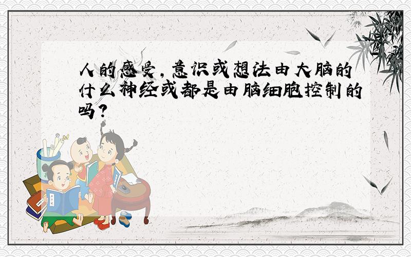 人的感受,意识或想法由大脑的什么神经或都是由脑细胞控制的吗?