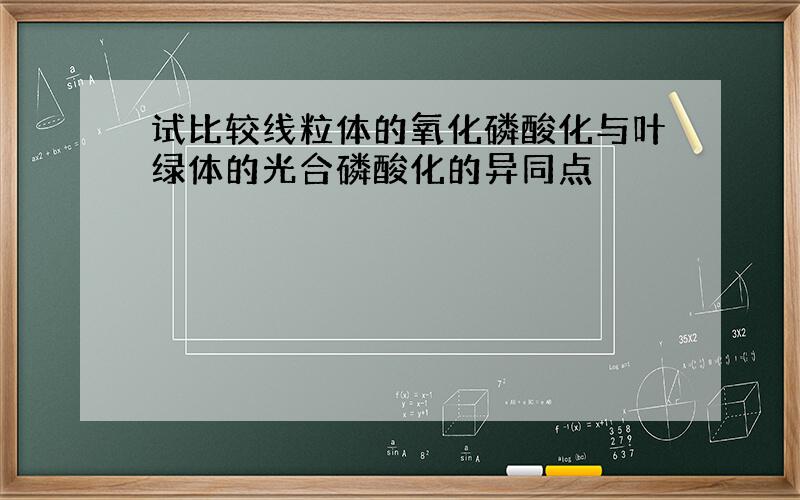 试比较线粒体的氧化磷酸化与叶绿体的光合磷酸化的异同点