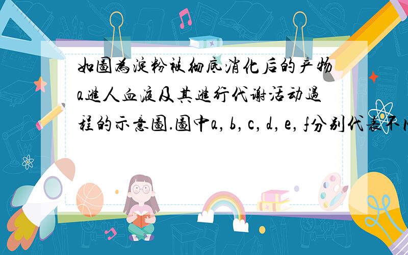 如图为淀粉被彻底消化后的产物a进人血液及其进行代谢活动过程的示意图．图中a，b，c，d，e，f分别代表不同的物质．请据图