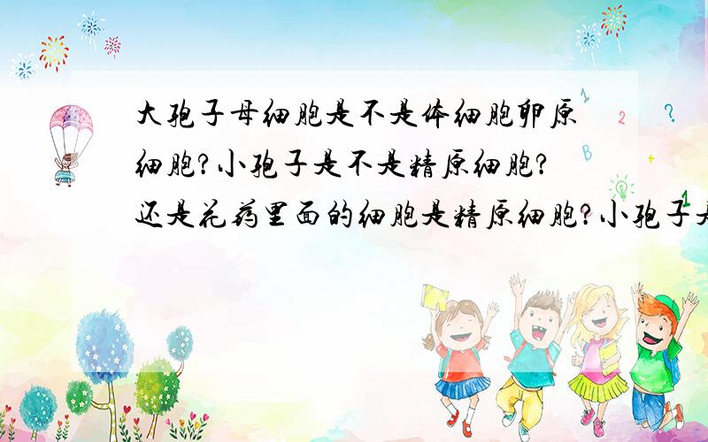 大孢子母细胞是不是体细胞卵原细胞?小孢子是不是精原细胞?还是花药里面的细胞是精原细胞?小孢子是经过什么分裂（有丝还是减数