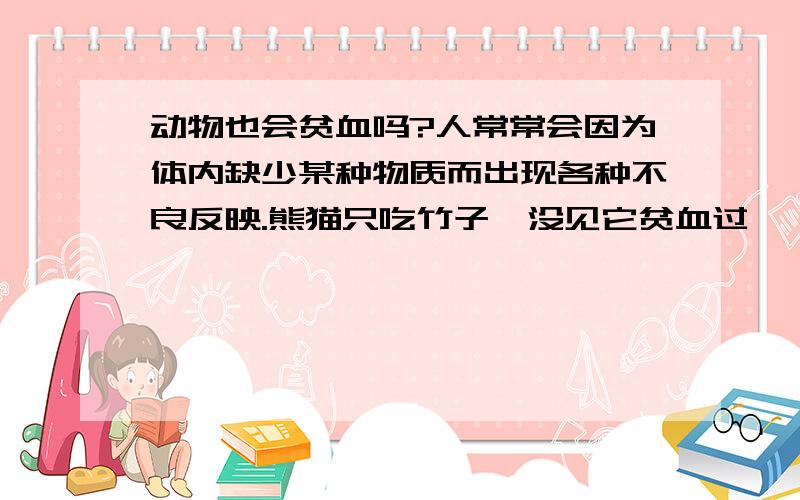 动物也会贫血吗?人常常会因为体内缺少某种物质而出现各种不良反映.熊猫只吃竹子,没见它贫血过,