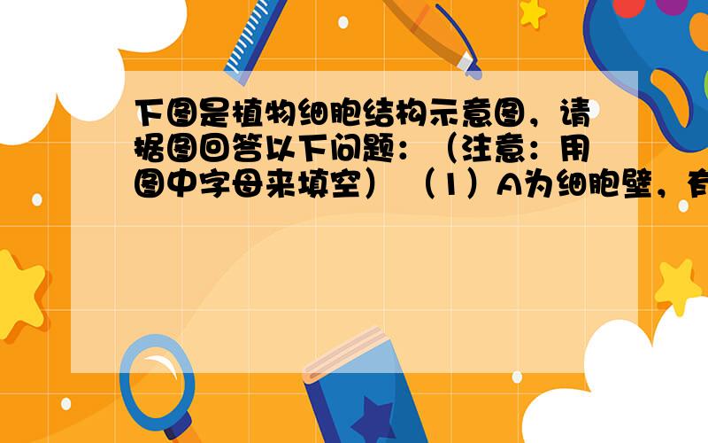 下图是植物细胞结构示意图，请据图回答以下问题：（注意：用图中字母来填空） （1）A为细胞壁，有保护和支持细胞作用，如果把