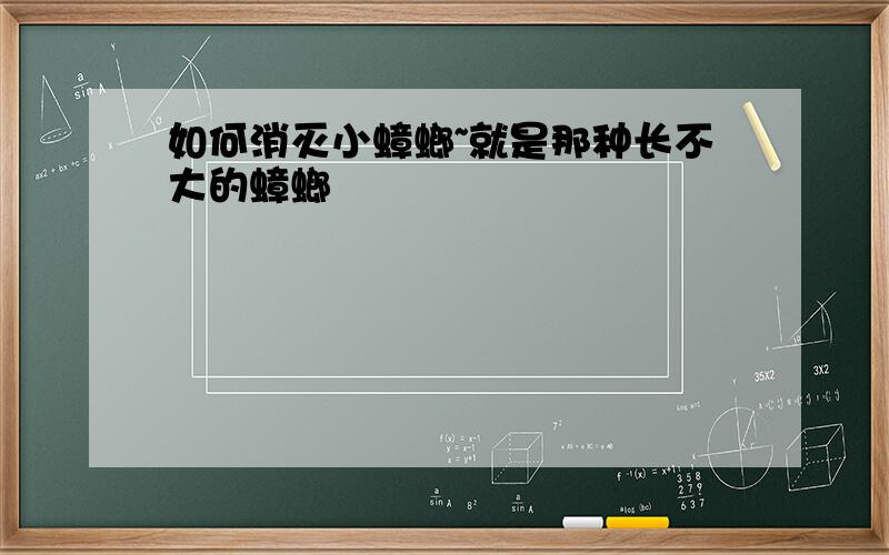 如何消灭小蟑螂~就是那种长不大的蟑螂