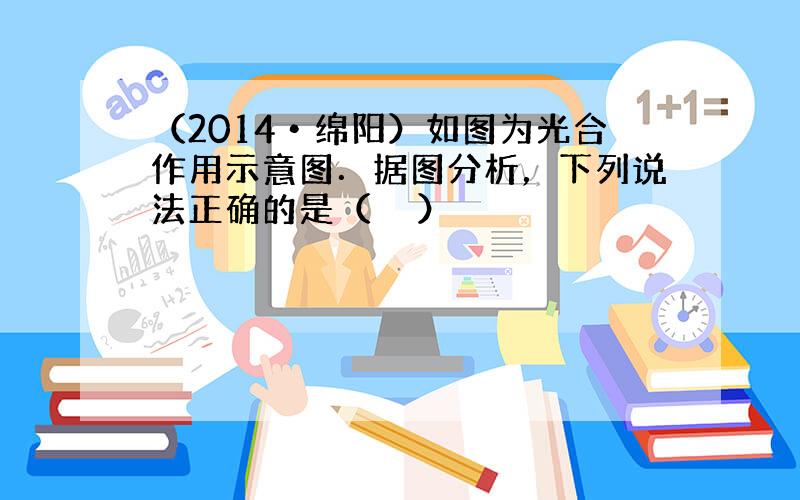 （2014•绵阳）如图为光合作用示意图．据图分析，下列说法正确的是（　　）