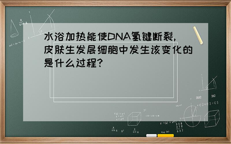 水浴加热能使DNA氢键断裂,皮肤生发层细胞中发生该变化的是什么过程?