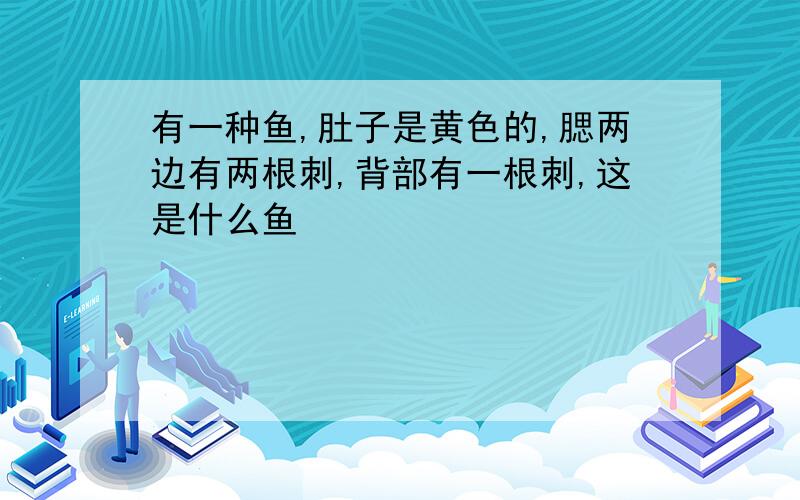 有一种鱼,肚子是黄色的,腮两边有两根刺,背部有一根刺,这是什么鱼