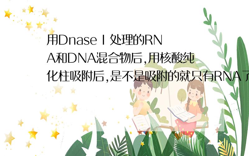 用Dnase I 处理的RNA和DNA混合物后,用核酸纯化柱吸附后,是不是吸附的就只有RNA了