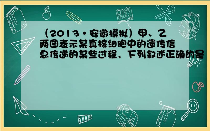 （2013•安徽模拟）甲、乙两图表示某真核细胞中的遗传信息传递的某些过程，下列叙述正确的是（　　）