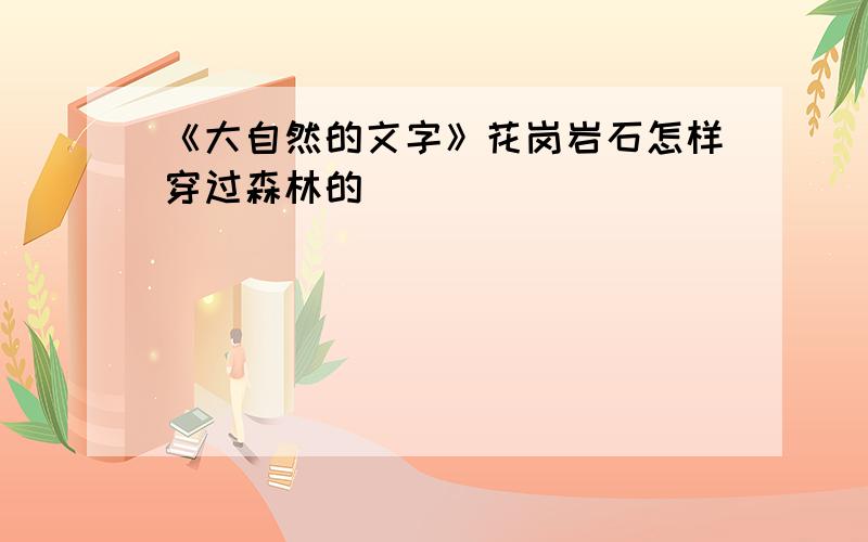 《大自然的文字》花岗岩石怎样穿过森林的