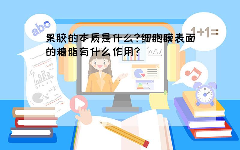 果胶的本质是什么?细胞膜表面的糖脂有什么作用?