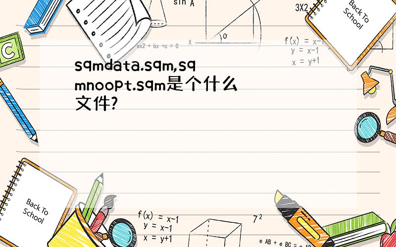 sqmdata.sqm,sqmnoopt.sqm是个什么文件?