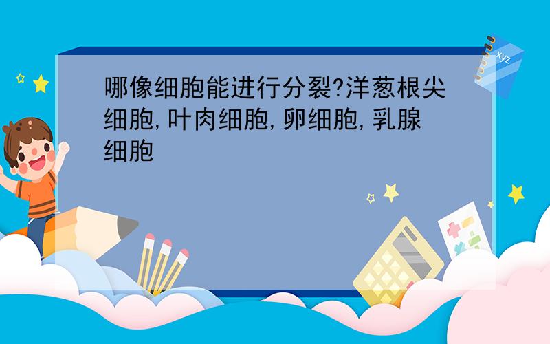 哪像细胞能进行分裂?洋葱根尖细胞,叶肉细胞,卵细胞,乳腺细胞