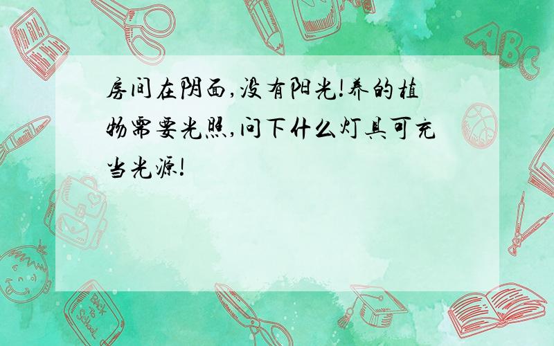 房间在阴面,没有阳光!养的植物需要光照,问下什么灯具可充当光源!