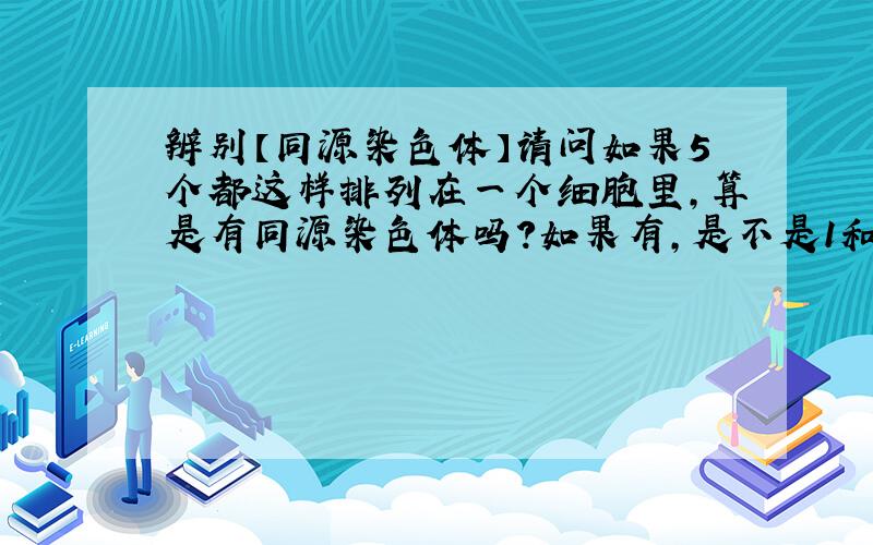 辨别【同源染色体】请问如果5个都这样排列在一个细胞里,算是有同源染色体吗?如果有,是不是1和5,那2和3和4应该怎么算啊