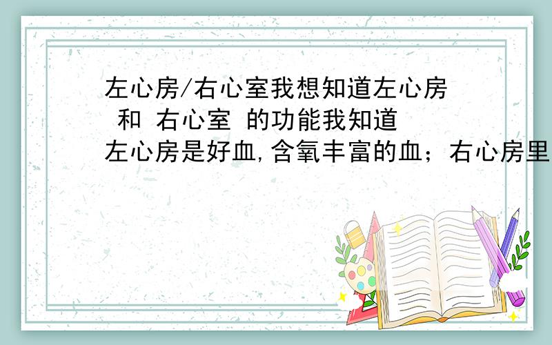 左心房/右心室我想知道左心房 和 右心室 的功能我知道 左心房是好血,含氧丰富的血；右心房里的血是废血 那么 左心室和右