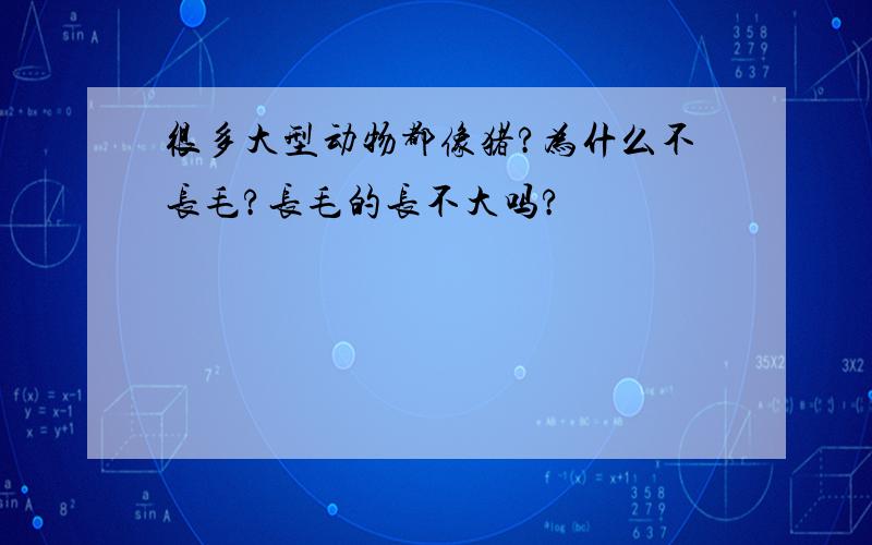 很多大型动物都像猪?为什么不长毛?长毛的长不大吗?