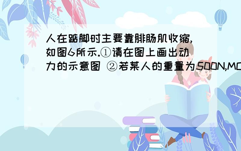 人在踮脚时主要靠腓肠肌收缩,如图6所示.①请在图上画出动力的示意图 ②若某人的重量为500N,MO＝2NO,则