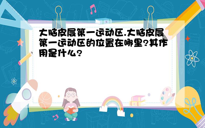 大脑皮层第一运动区.大脑皮层第一运动区的位置在哪里?其作用是什么?