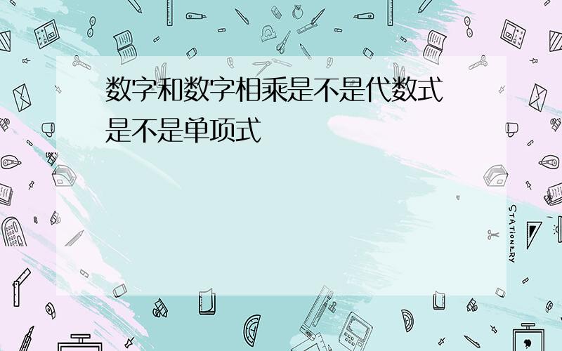 数字和数字相乘是不是代数式 是不是单项式