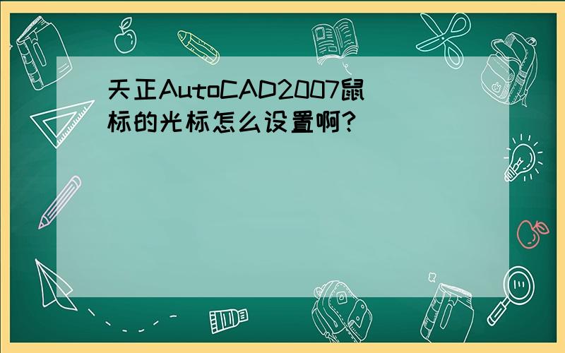 天正AutoCAD2007鼠标的光标怎么设置啊?