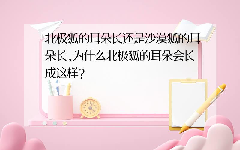 北极狐的耳朵长还是沙漠狐的耳朵长,为什么北极狐的耳朵会长成这样?