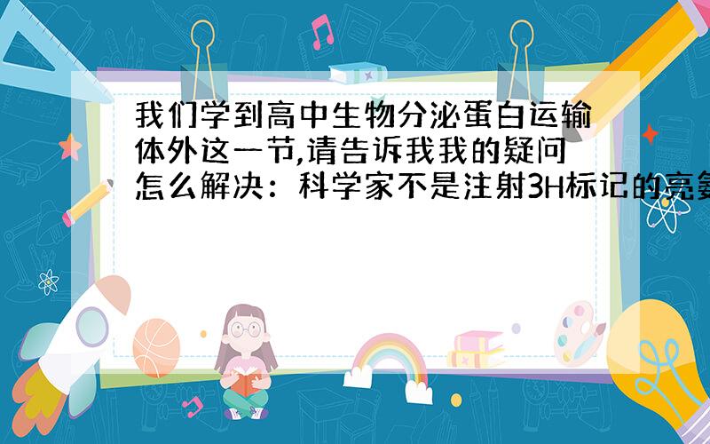 我们学到高中生物分泌蛋白运输体外这一节,请告诉我我的疑问怎么解决：科学家不是注射3H标记的亮氨酸吗?