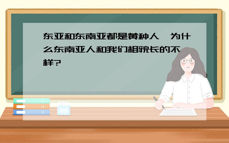 东亚和东南亚都是黄种人,为什么东南亚人和我们相貌长的不一样?