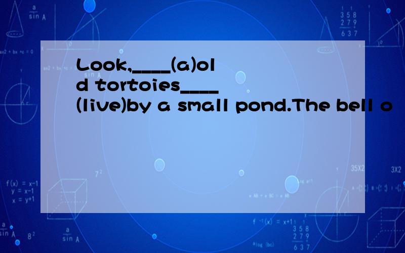 Look,____(a)old tortoies____(live)by a small pond.The bell o