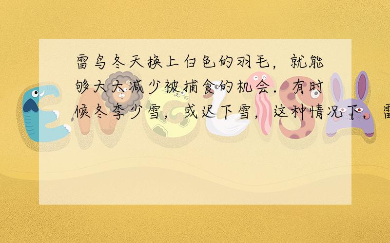 雷鸟冬天换上白色的羽毛，就能够大大减少被捕食的机会．有时候冬季少雪，或迟下雪，这种情况下，雷鸟换上白色的羽毛反而容易被捕