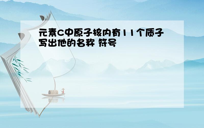 元素C中原子核内有11个质子写出他的名称 符号