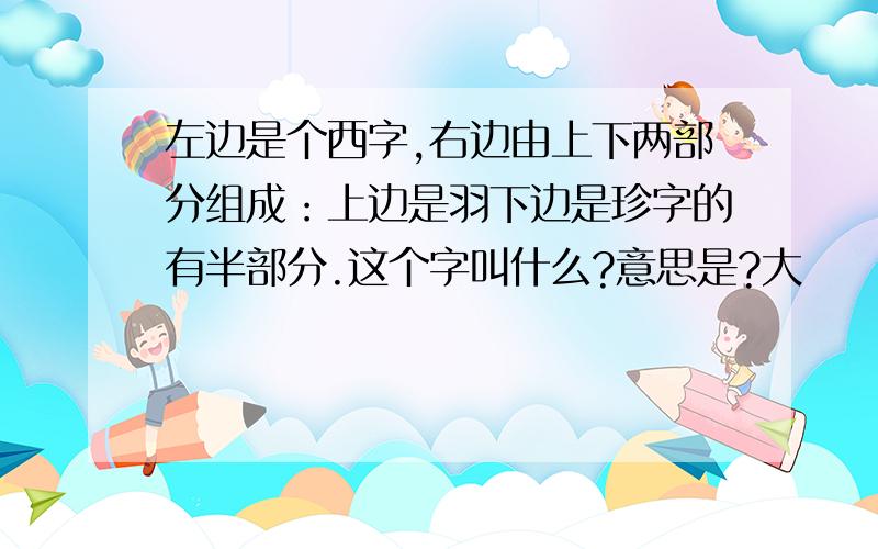 左边是个西字,右边由上下两部分组成：上边是羽下边是珍字的有半部分.这个字叫什么?意思是?大