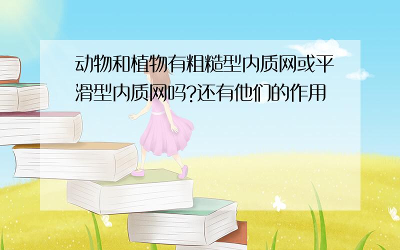 动物和植物有粗糙型内质网或平滑型内质网吗?还有他们的作用