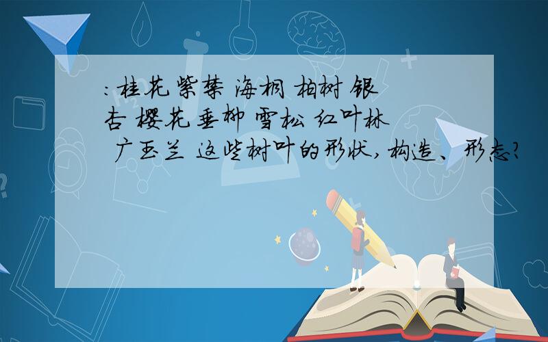 ：桂花 紫禁 海桐 柏树 银杏 樱花 垂柳 雪松 红叶林 广玉兰 这些树叶的形状,构造、形态?