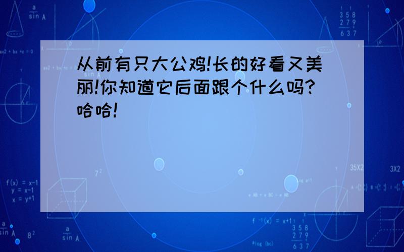 从前有只大公鸡!长的好看又美丽!你知道它后面跟个什么吗?哈哈!