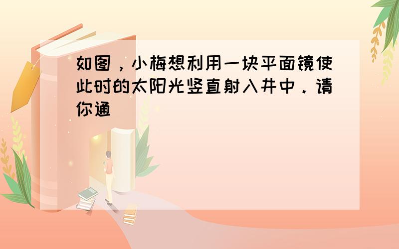 如图，小梅想利用一块平面镜使此时的太阳光竖直射入井中。请你通