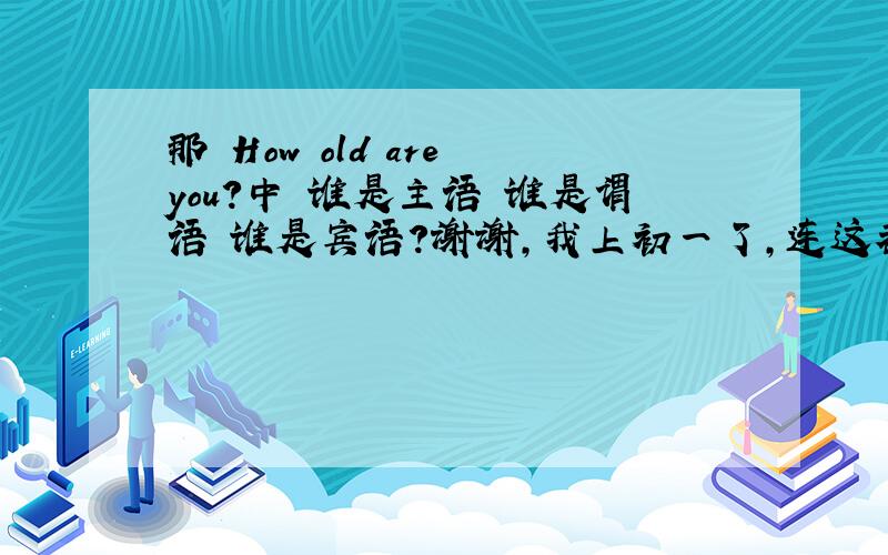 那 How old are you?中 谁是主语 谁是谓语 谁是宾语?谢谢,我上初一了,连这都不懂,o(︶︿︶)o 唉