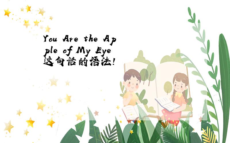 You Are the Apple of My Eye 这句话的语法!