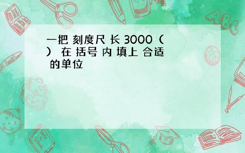 一把 刻度尺 长 3000（） 在 括号 内 填上 合适 的单位