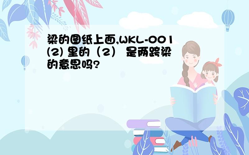 梁的图纸上面,WKL-001(2) 里的（2） 是两跨梁的意思吗?