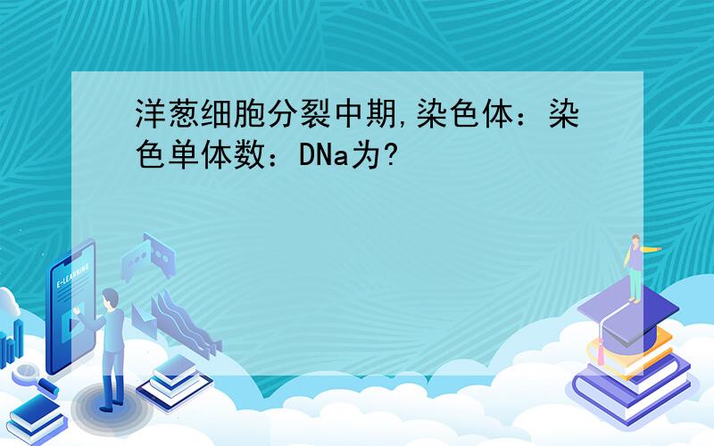 洋葱细胞分裂中期,染色体：染色单体数：DNa为?