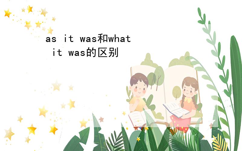 as it was和what it was的区别