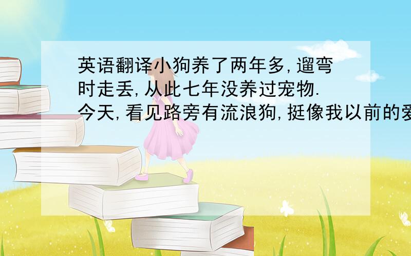 英语翻译小狗养了两年多,遛弯时走丢,从此七年没养过宠物.今天,看见路旁有流浪狗,挺像我以前的爱犬.当我吹了一个以前招呼爱