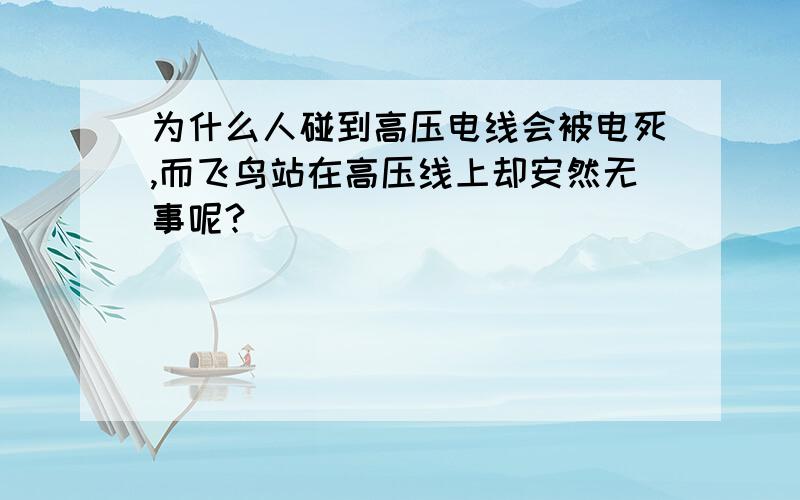 为什么人碰到高压电线会被电死,而飞鸟站在高压线上却安然无事呢?