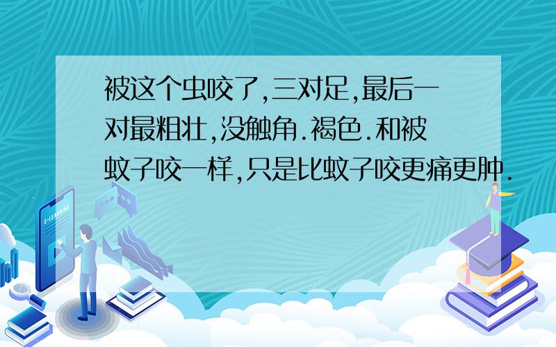 被这个虫咬了,三对足,最后一对最粗壮,没触角.褐色.和被蚊子咬一样,只是比蚊子咬更痛更肿.