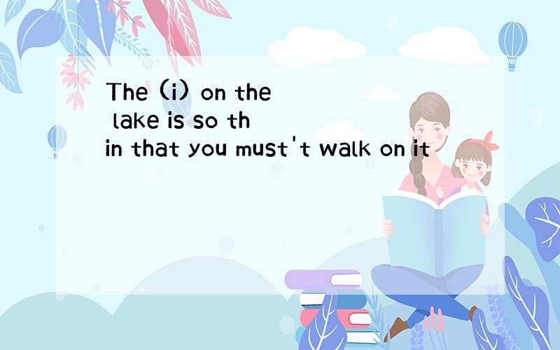 The (i) on the lake is so thin that you must't walk on it