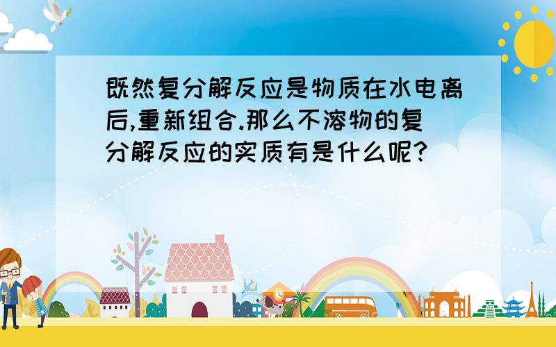 既然复分解反应是物质在水电离后,重新组合.那么不溶物的复分解反应的实质有是什么呢?