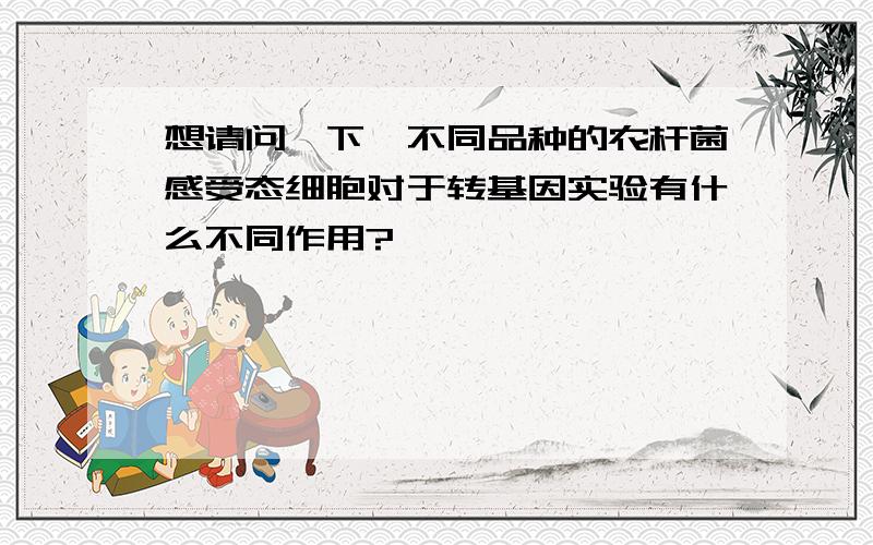 想请问一下,不同品种的农杆菌感受态细胞对于转基因实验有什么不同作用?