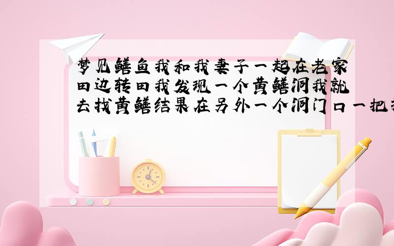 梦见鳝鱼我和我妻子一起在老家田边转田我发现一个黄鳝洞我就去找黄鳝结果在另外一个洞门口一把抓住了黄鳝的头费了九牛二虎之力才